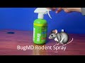 The many things I like about this BugMD natural repellent rodent spray *FULL REVIEW*
