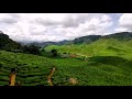 Shadow Play - Timelapse
