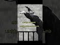 Thaniye Thannathaniye Song Rhythm Movie Song Kousha 112 