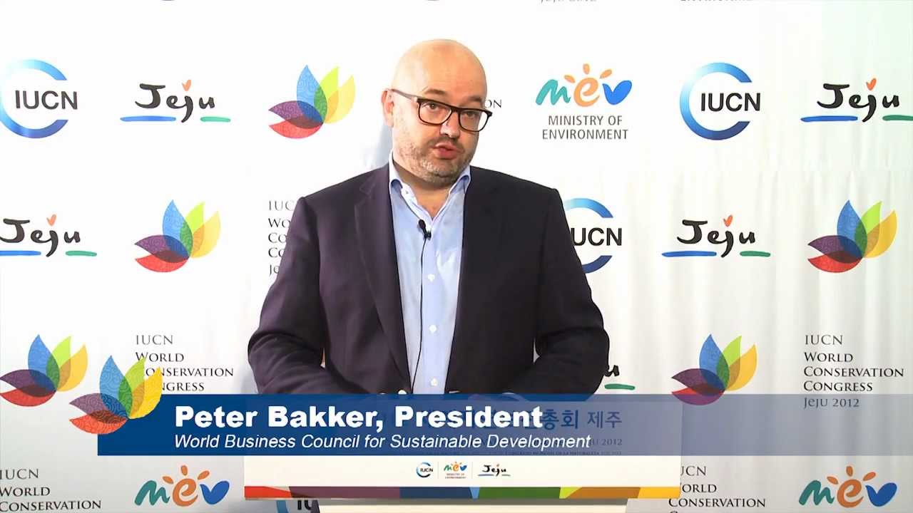 climate change projections The role of the private sector in ensuring sustainable development