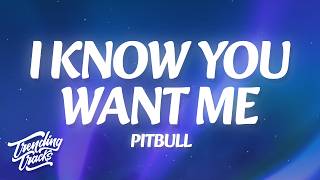 Pitbull - I Know You Want Me (Calle Ocho) (Lyrics)