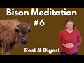 Bison Meditation 6 - Rest & Digest
