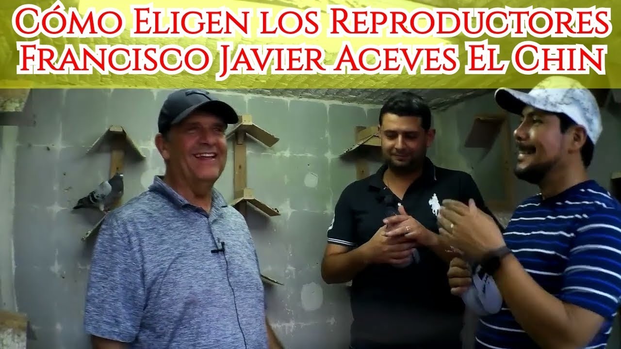 How Breeders Choose Francisco Javier Aceves 