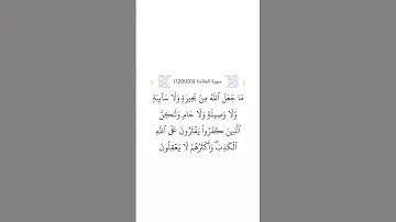 سورة المائدة ١٠٣