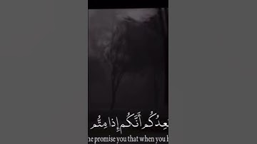 سوره المؤمنون الشيخ ياسر الدوسري