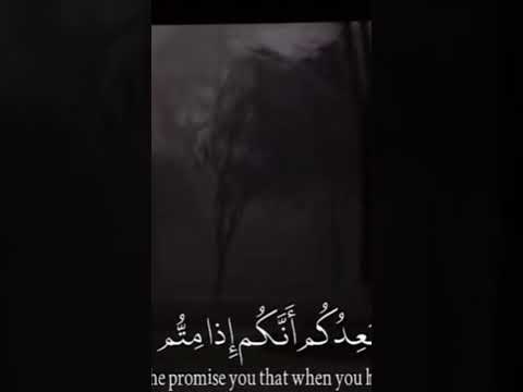 سوره المؤمنون الشيخ ياسر الدوسري