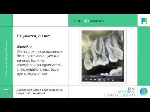 Дубровская мастерство