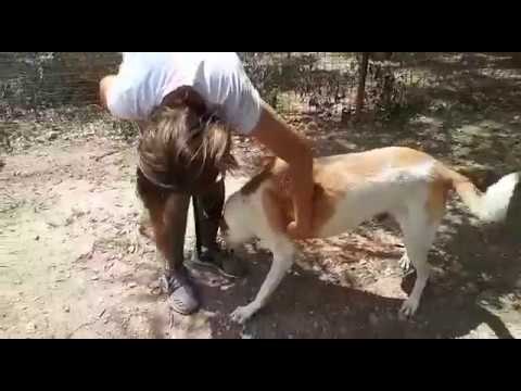 ‫סלוקי קבוקי‬‎ - YouTube