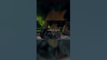 الشيخ محمد صديق المنشاوي سورة الحج