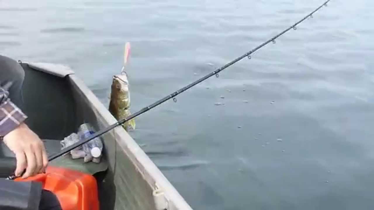 Mcgregor lake fishing Clearance