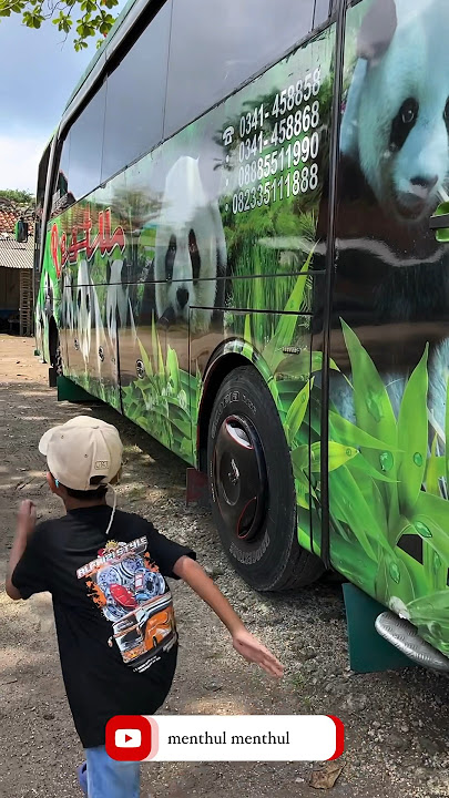 not the telolet bus kids panda but there are lots of pandas, guys!!