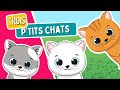 Trois petits chats 🐱🐱🐱 | Comptines et chansons par Les Mômeries