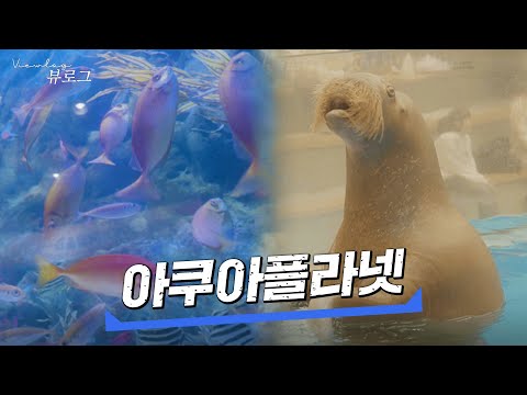 힙합보단 사랑, 사랑보단 바다코끼리💙 [아쿠아플라넷] | 뷰로그 ep.04