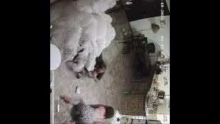 فضيحة هدير عبد الرازق واوتاكا الجديدة