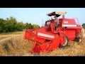 Уборка озимой пшеницы 2013 MF-240, МТЗ-50, 2ПТС-4