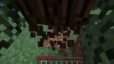 video minecraft test 1.33.4