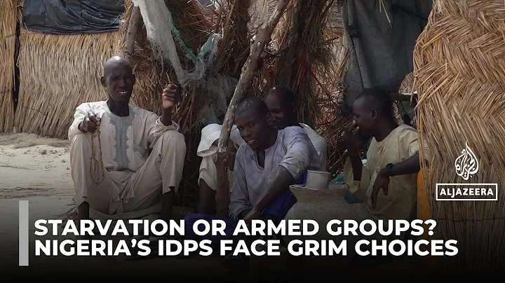 Northeast Nigeria faces humanitarian crisis as WFP halts aid to IDP camps