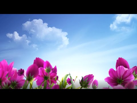 Фотовыставка "Мамины глаза" - YouTube