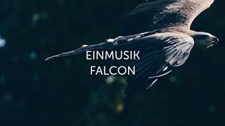 Einmusik - Falcon