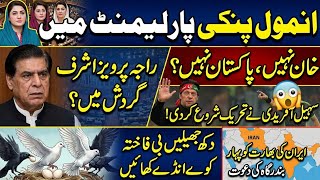 Anmol in Parliament Raja roasted by V loger Afridi lanched khan Nahee Pakistan Nahee movement?
