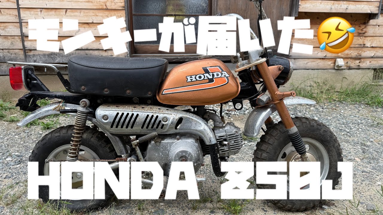 I Bought a Non-Running Honda Monkey for Under 100k! Is It a Lost