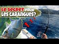 Le secret pour attraper les caranguespeche en mer au lancer 