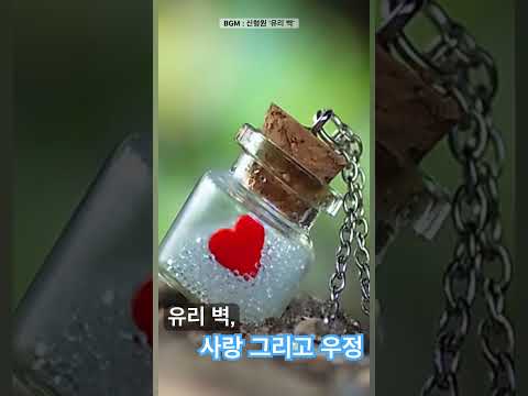 유리 벽 은 신형원이 1984년 1집 외사랑 으로 발표한 곡이다 