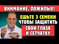 Японский Секрет: Ешь 3 Семени Чтобы Защитить Глаза И Сетчатку