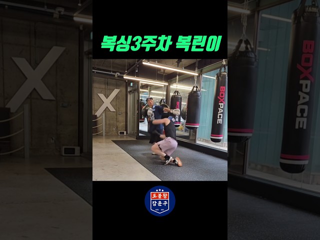 포볼왕의 취미