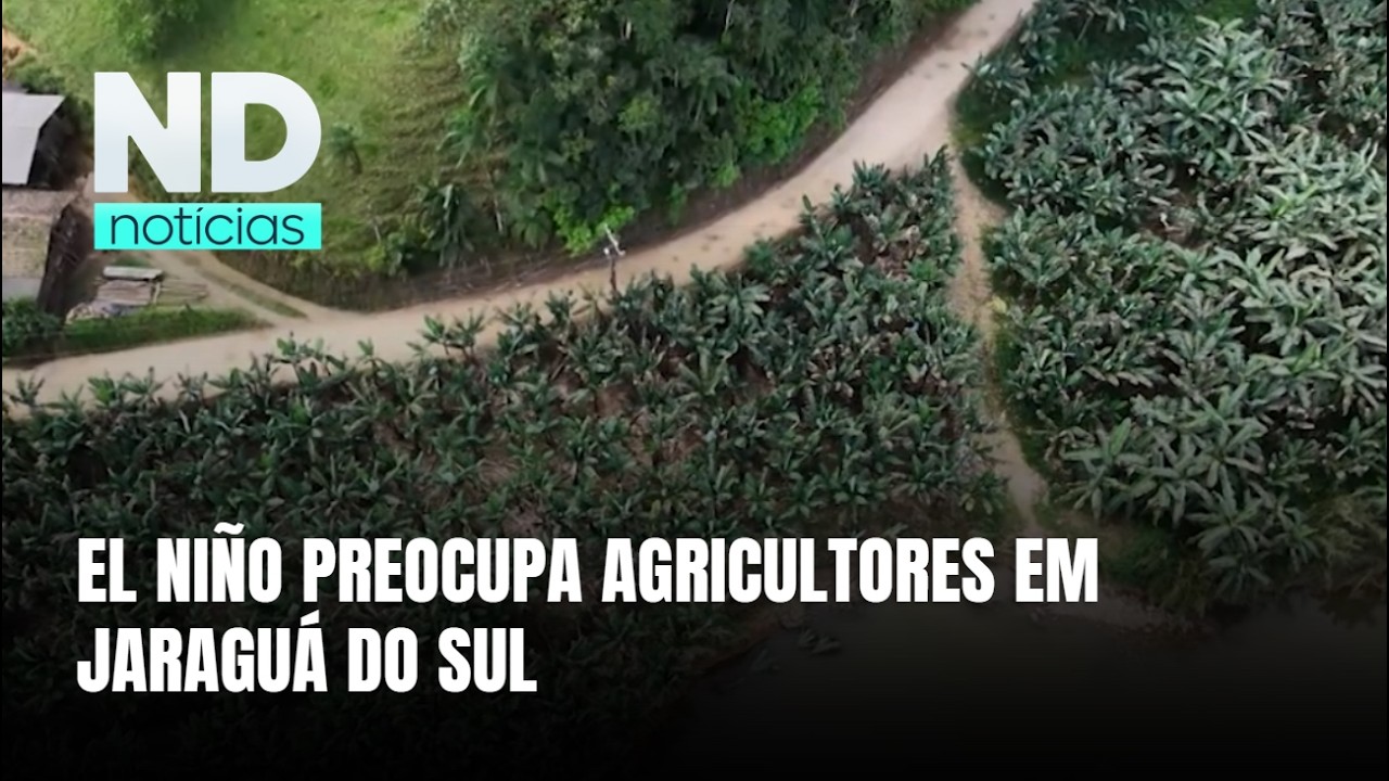 El Niño preocupa agricultores e leva Jaraguá do Sul a investir em prevenção