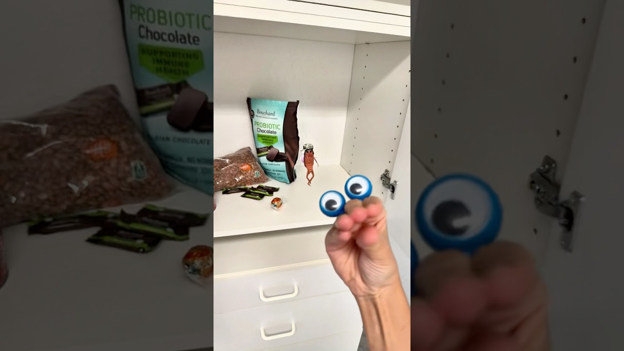 GET OUT THE CABINET! 😭 