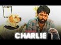 Charlie 777 X Saiyaara ✨Chalie EfxStatus ll Saiyaara Song Edits ll Dog WhatsApp Status ll Dog Lover
