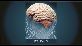 EEGLAB #9: Selecting ICA components (ICA series 3/4)