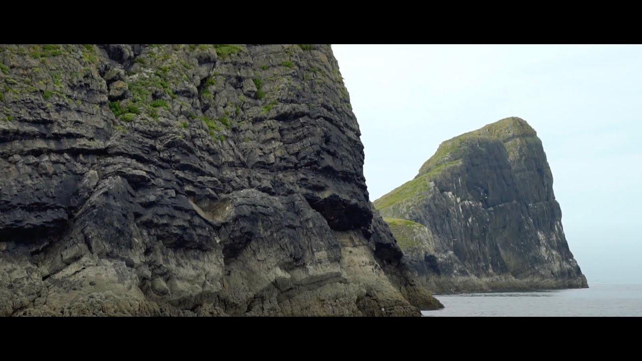 #GowerWatch - South Gower's iconic seabird