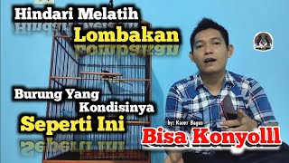 Hindari Ini !! Kacer Saat Pindah Lokasi Baru || Agar Kacer Mau On Konslet Buka Ekor Bongkar Materi