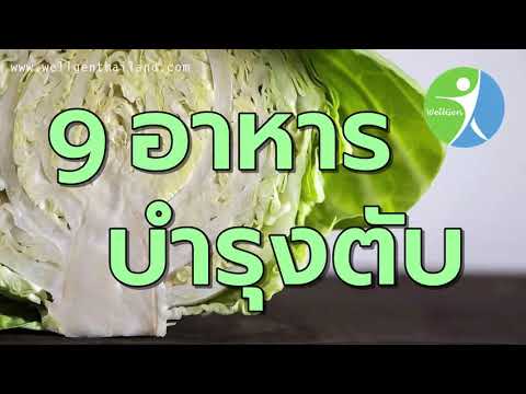 9อาหารบำรุงตับ WELLGENTHAILAND.COM