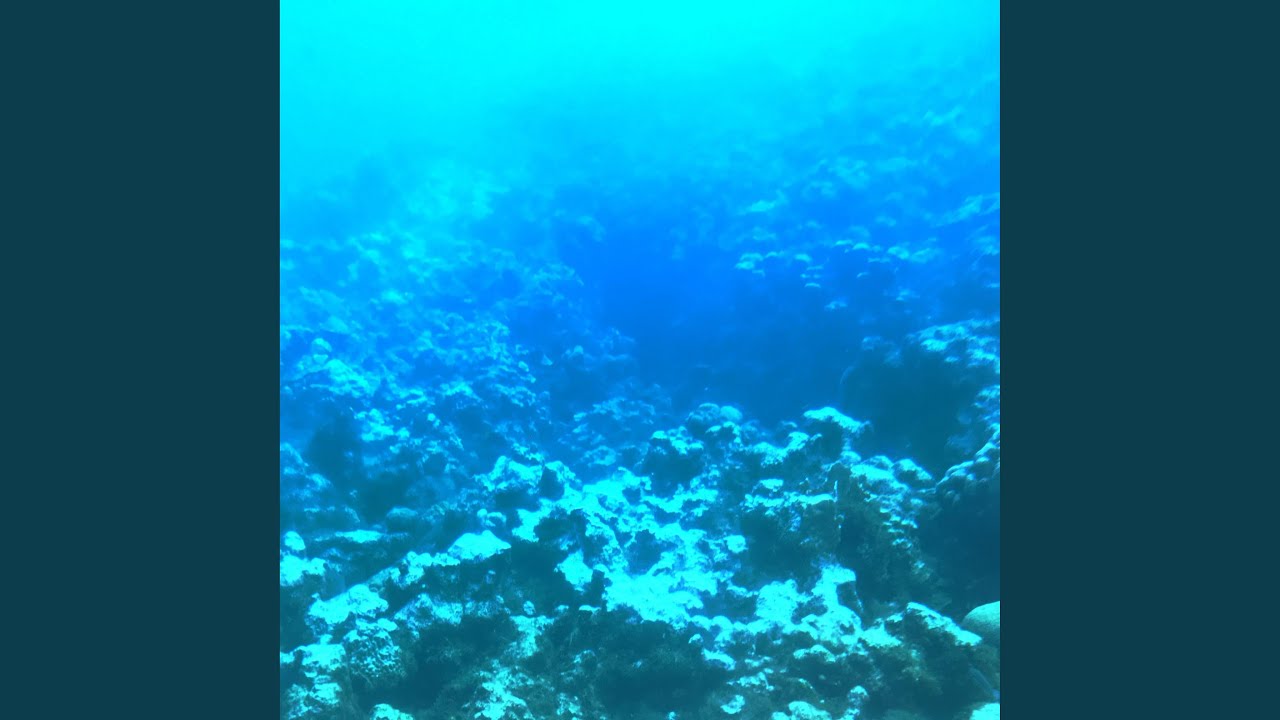 WATER LEVEL 2