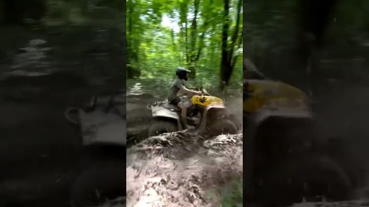 Fourwheeler mud bog 