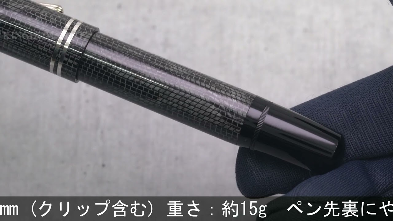 PelikanペリカンM101NリザードB-nib