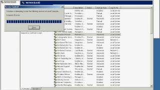 Sim70-293_03.avi