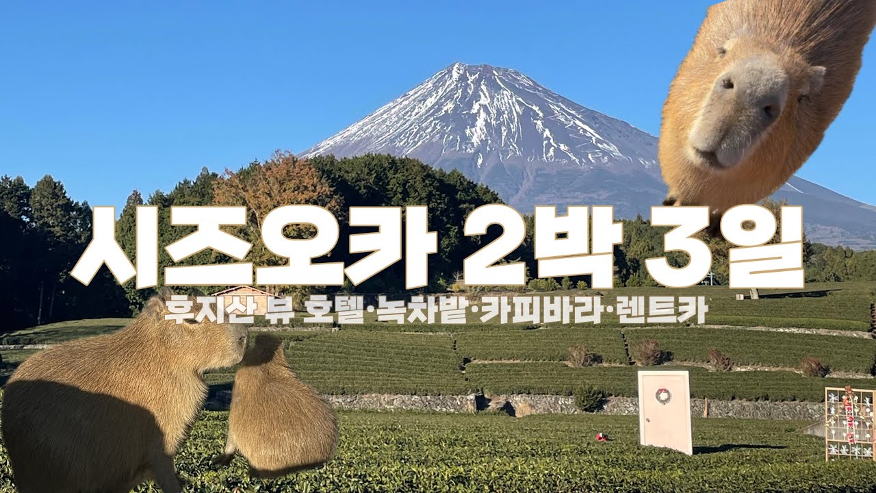 일본 소도시 여행 | 시즈오카 2박 3일•여행꿀팁•숙소추천•렌트카•카피바라
