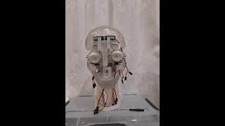 InMoov i2Head build Part 4