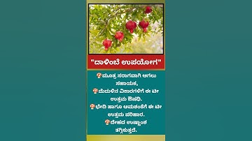 ದಾಳಿಂಬೆ ಹಣ್ಣಿನ ಉಪಯೋಗ ಎಸ್ಟು ಇದೆ ಗೊತ್ತ