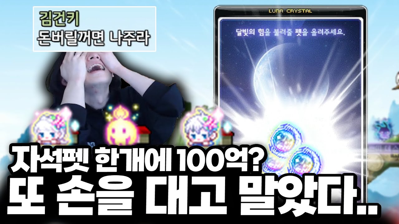 자석펫 하나에 100억? 하면 안되는데.. 또 손 대고 말았다 [메이플스토리]
