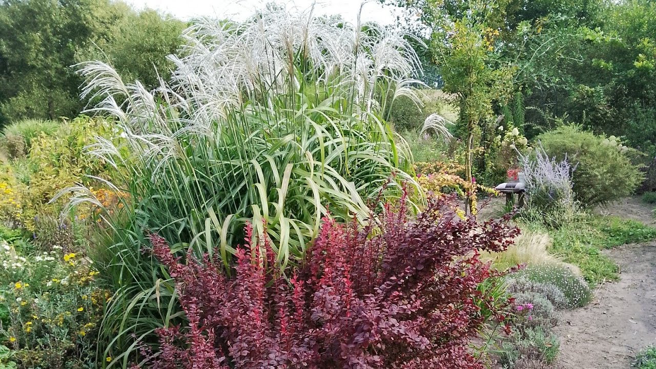 Моя ідеальна(майже😉) клумба чотири сезони: весна, літо, осінь,зима.💐🌞🍂❄️