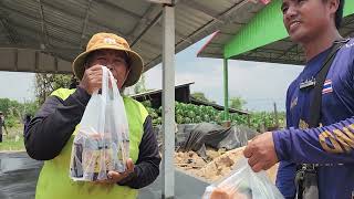 ขอบพระคุณแม่มีนานะค่ะที่มอบคะแนนซื้อเครื่องดื่มให้ช่างทำงานศาลดอนปู่ตาบ้านท่าลาด🙏🙏🙏🙏 #พังบุญเพิ่ม