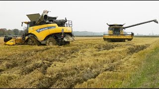 New Holland CR9.90 x2 mietitura riso / rice harvest 22/10/2016