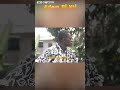 #trending #comedy #short #funny #viral EMMA MU DA  NANA AMA MCBROWN,AKROBETO,KWADWO NKANSAH, PART 4C