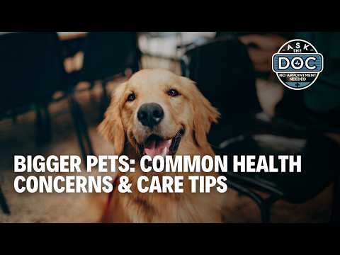 Big Pets, Big Care: What Every Pet Owner Should Know | Ask The Doc