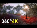 Rainy Forest Ambience with Relaxing Nature Sounds | Sleep &amp; Relaxation | 1 Hour 360 VR